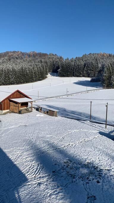 Idyllisches Ferienapartment Allgaeu Бад-Ґрененбах Екстер'єр фото